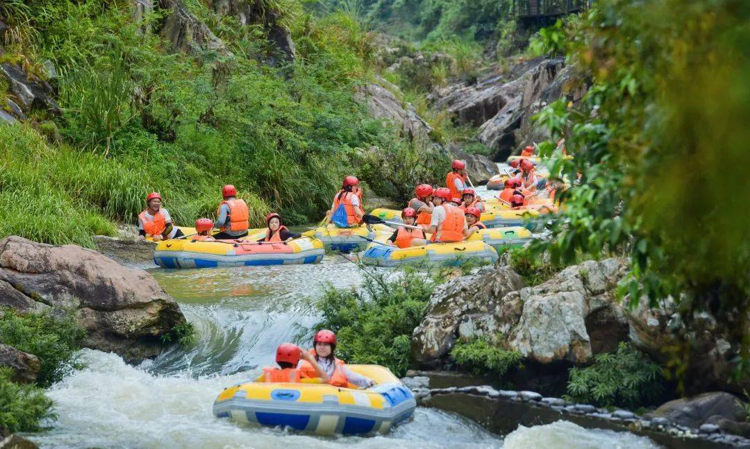 五指山市 是不一样的海南 像巴厘岛一样的翡翠山城 层叠茶田 峡谷漂流