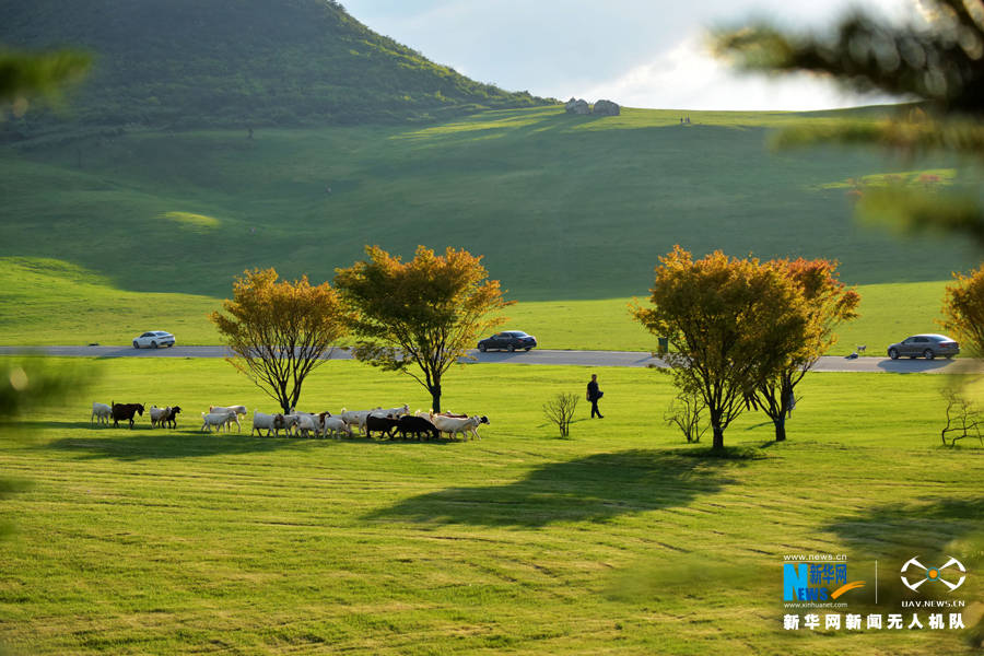 陈碧生|绘风景起风情 武陵山区生态旅游“显山露水”