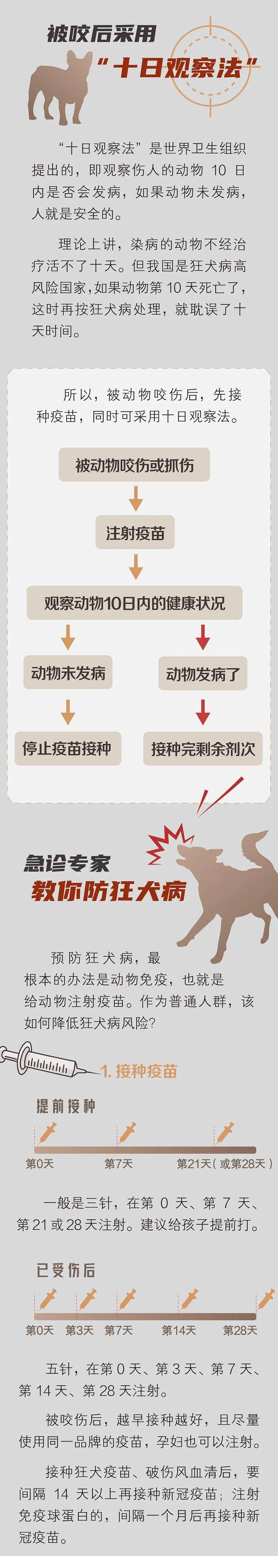 世界狂犬病日 狂犬病毒进入人体后,发生了什么?