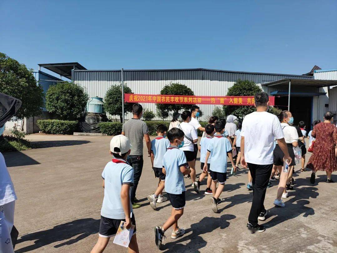 湖海塘小学: 菌菇种植场里学知识_金华市