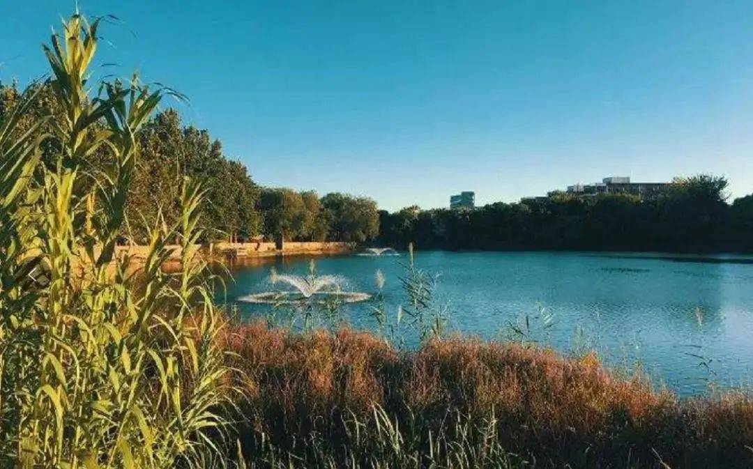天津大学生日快乐