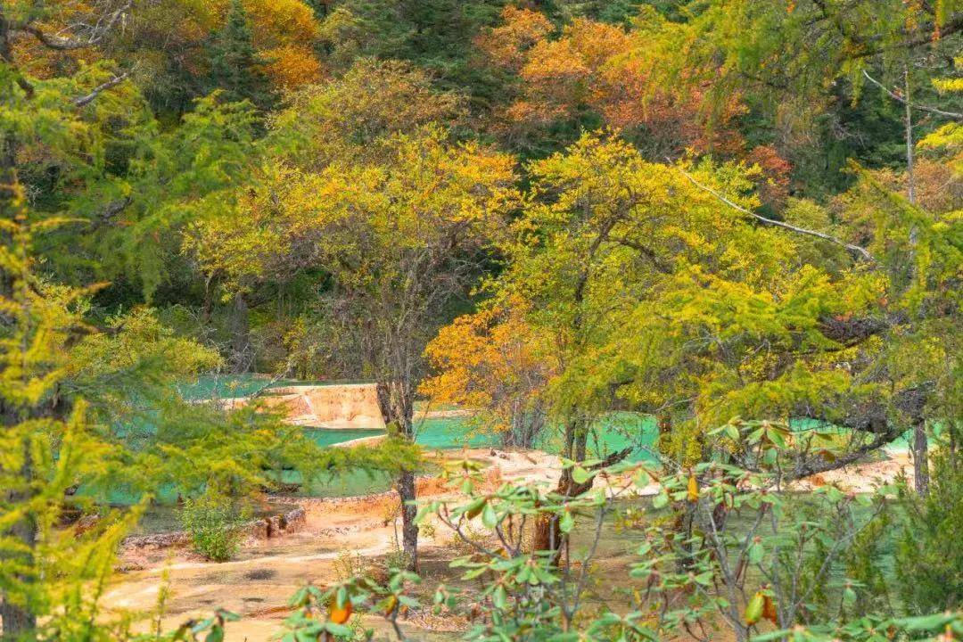 消防队与松潘县森林消防救援大队驻黄龙景区执勤点人员到景区各个