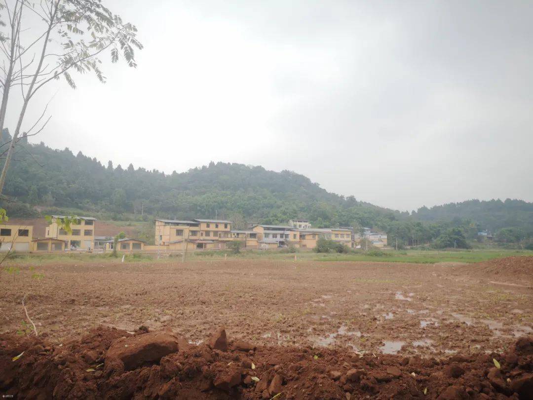 据了解,仁里村酱园集市项目位于资阳市临空经济区临江镇仁里村,项目