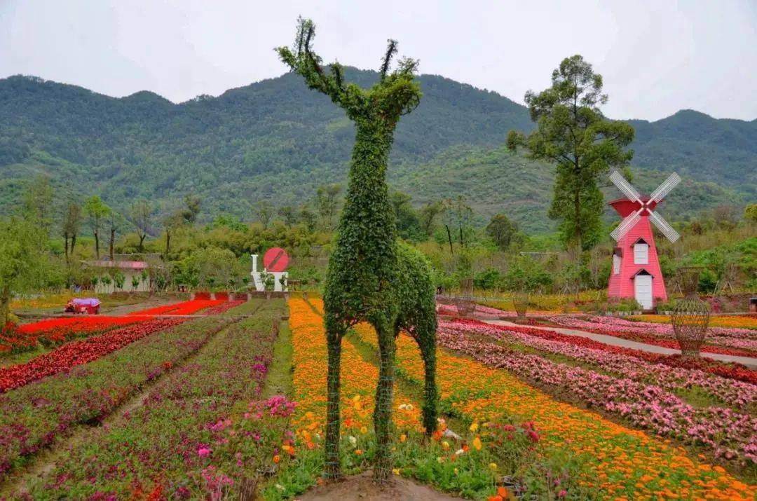 重庆中心城区—垫江高铁站—恺之峰旅游区—华夏牡丹园—垫江李花源