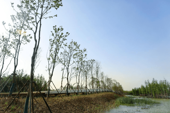 ins风or荒野风海绵公园鱼尾洲为什么这么好看