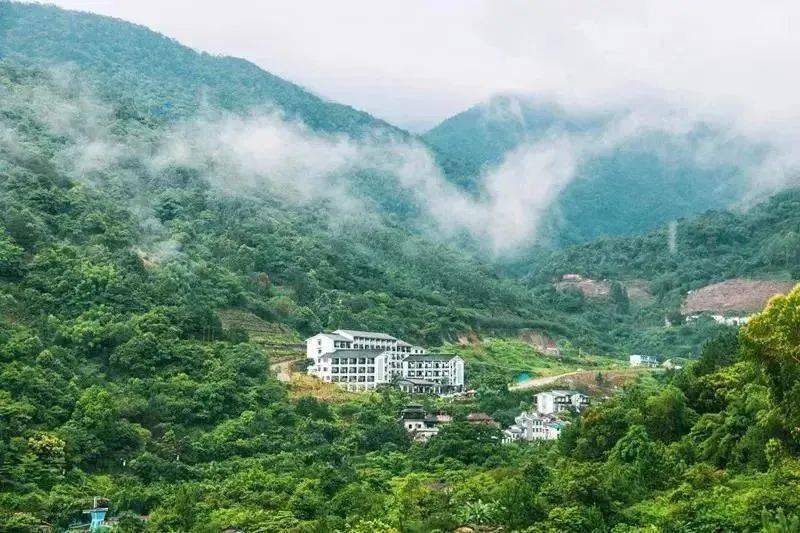 向往的生活|大氧吧度假 天露山旅游度假区 度假区位于粤中南部最高峰