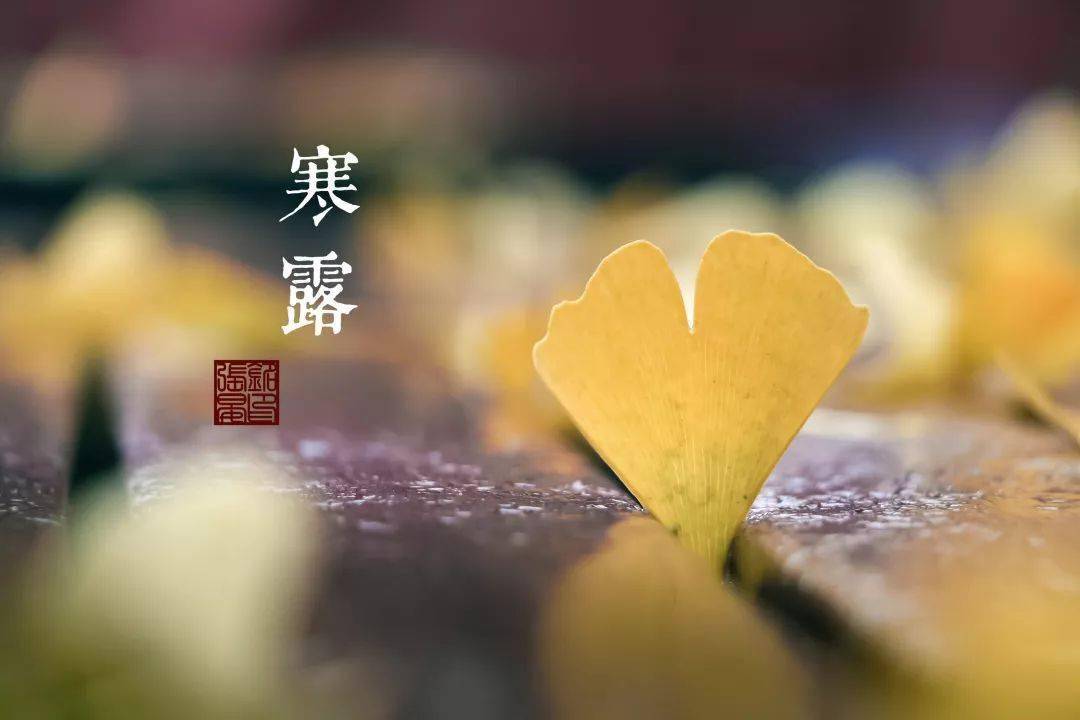 二十四节气61寒露丨最是橙黄橘绿时