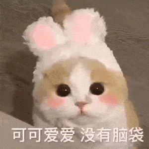 水果旺季不做选择题,它你一定要吃!_冬枣