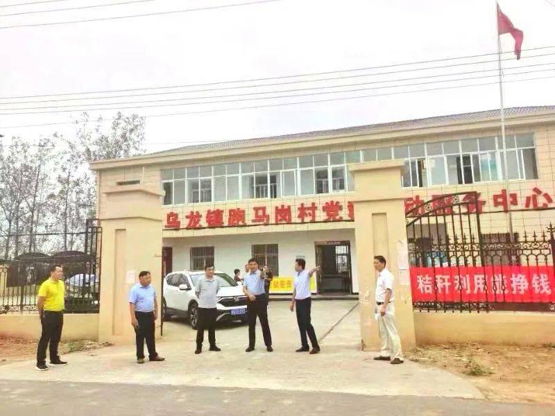 县援建的霍邱县曹庙镇果树配套项目,石店镇秸秆收储项目和乌龙镇烘干