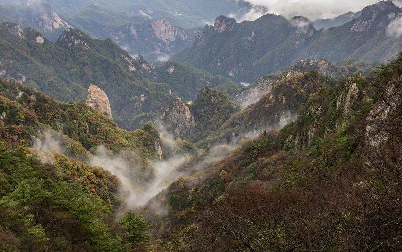 泡温泉赏红叶整整一个月尧山风景区免门票啦