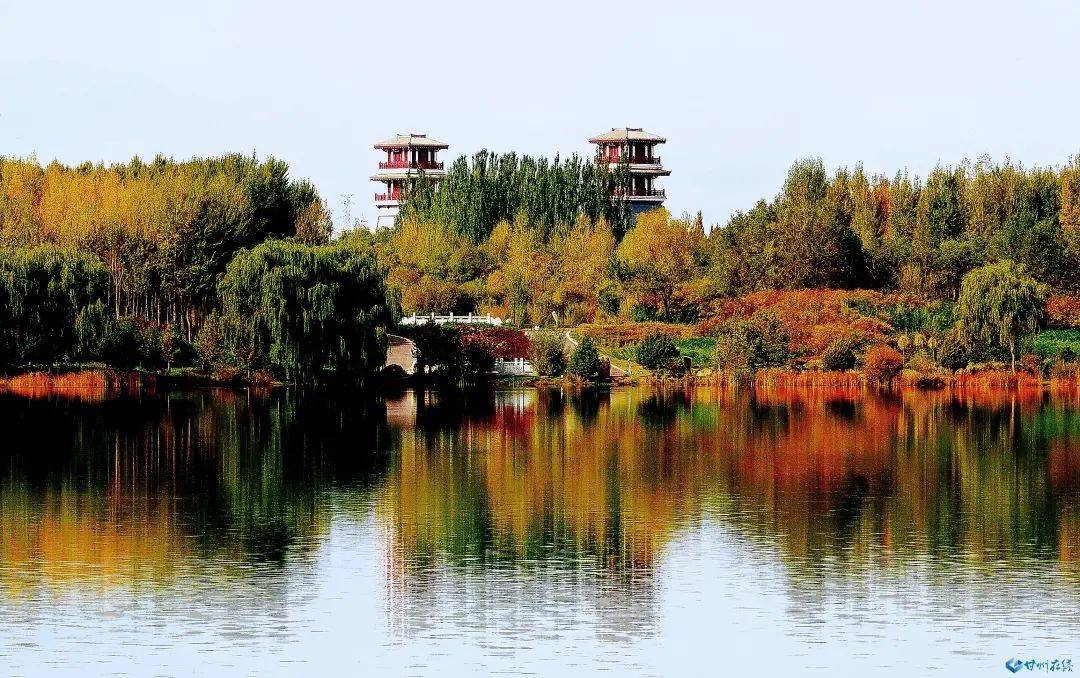 【镜观张掖】张掖甘州:秋色连波秋意浓