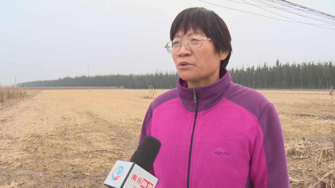 南乐县:强化农业技术服务保生产
