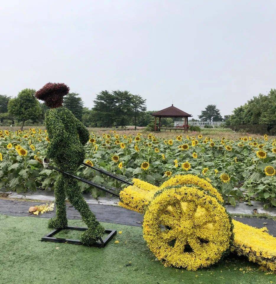 教育基地位于惠阳区永湖镇凤咀村亚维浓生态园自然清新—avinong—