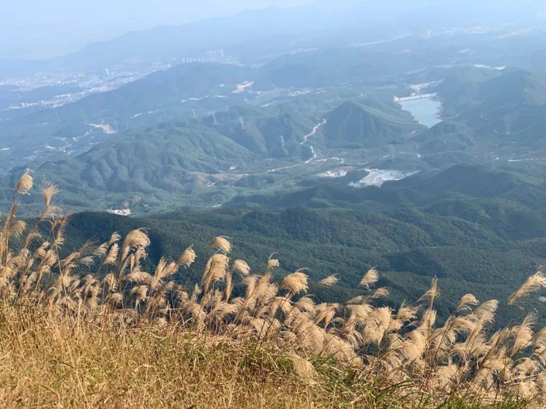 10月1617号惠州大南山大草坡穿越漫山遍野芦苇荡下摄影云中漫步斧头石