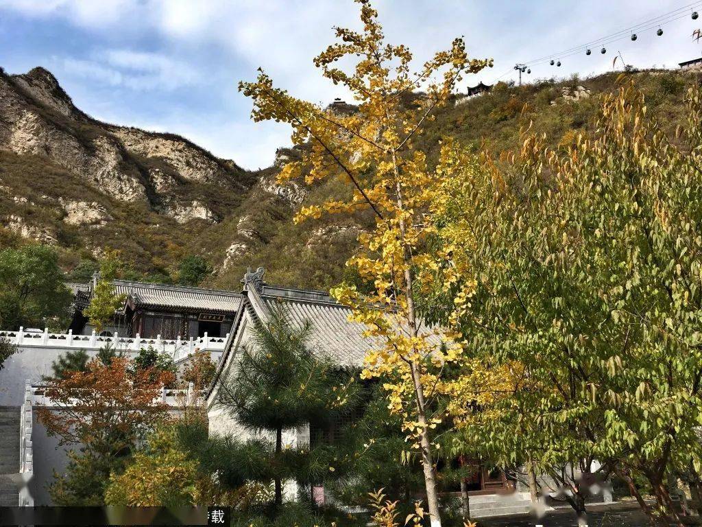 千灵山景区正在举办,"崇山美景 红叶正浓"秋季游园活动,游客可以乘坐