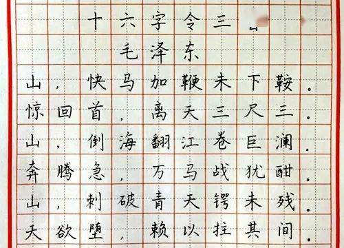 (钢笔字一等奖苏琦)