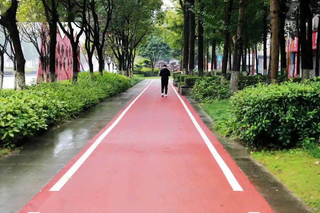 5米 是一条彩色沥青混凝土跑道 目前 "绿道"标线和"绿道"沿途标识标牌