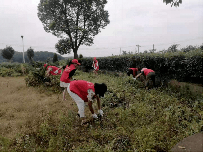 江塘乡巾帼志愿者积极主动参与人居环境整治活动