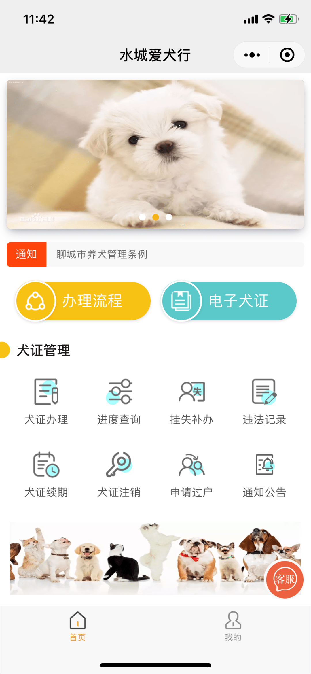 聊城"电子犬证"开始办理啦!