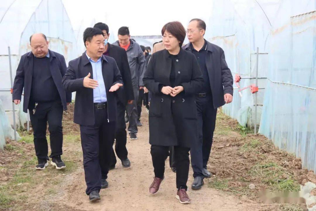 文晓凡调研巩固拓展脱贫攻坚成果与乡村振兴有效衔接工作