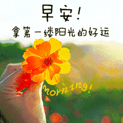 我的问候依然陪着你,愿你开心每一天,早安