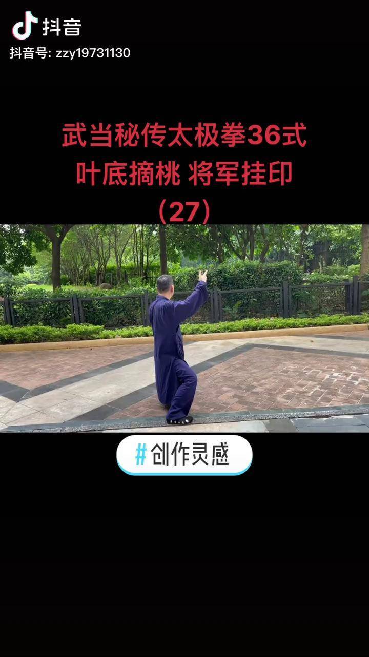 武当太极拳叶底摘桃将军挂印创作灵感太极拳养生老架一路业余爱好功夫