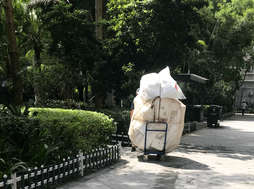 深圳高档小区里,捡废品的老年人_许慧珍