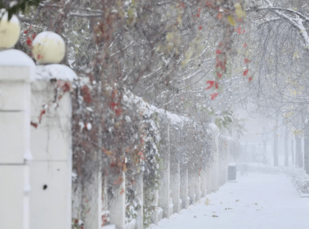 冬天,这就要来了? 暴雪来袭,如何防范?  2.