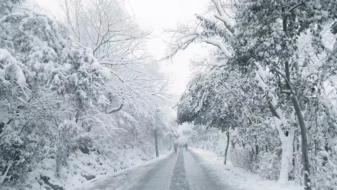 降雪"到货",一夜入冬!宝鸡东南西北雪景"美爆"朋友圈