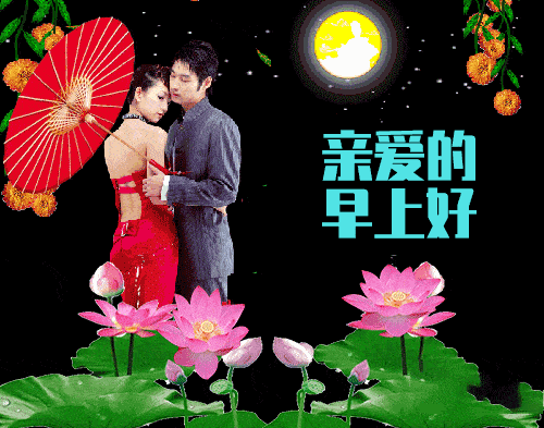 500_393gif 动态图 动图