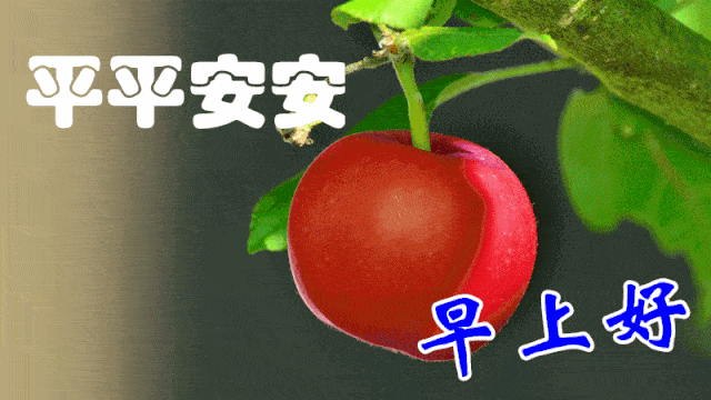 聊天图片