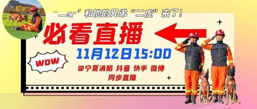 马上直播"二驴"和他的兄弟"二虎"来了_宁夏