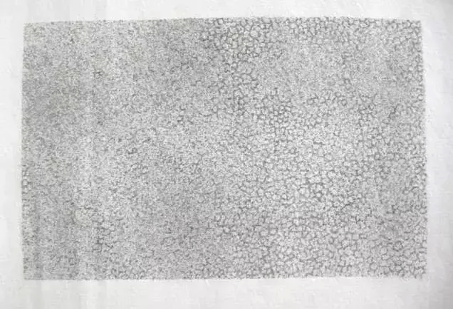 工笔画-纹理的画法