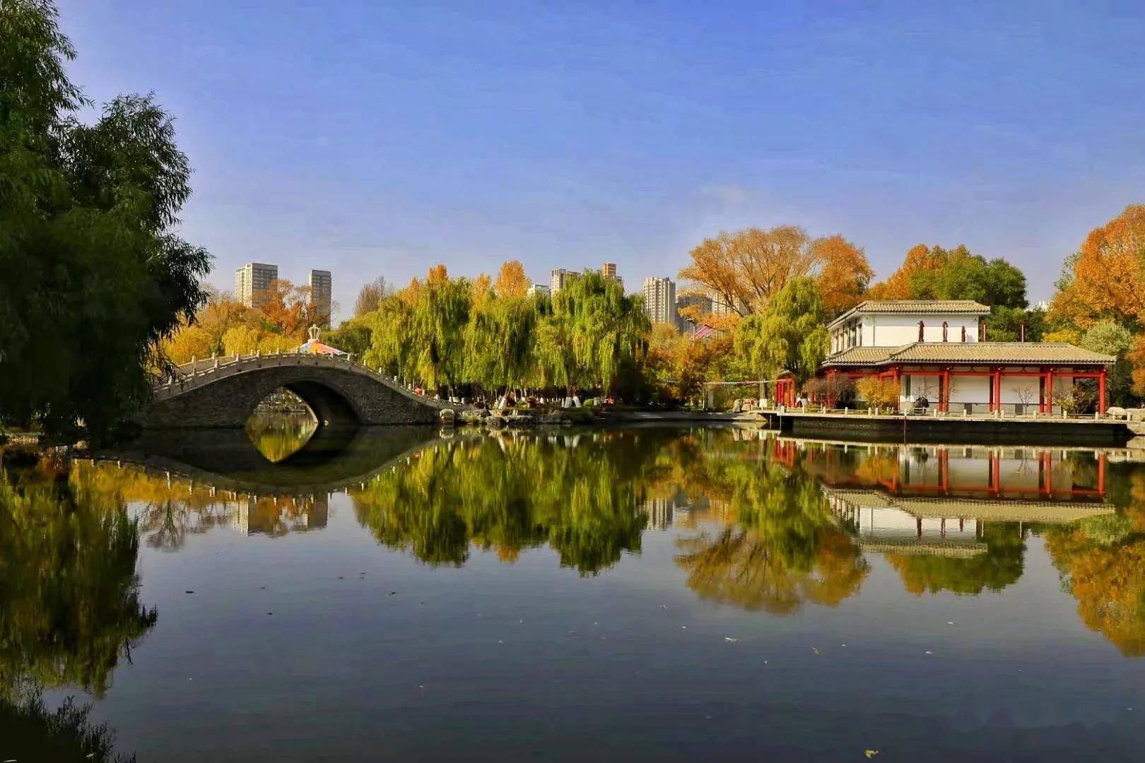 秋天的西宁人民公园就像一幅美丽的画卷,充满诗情画意,真美