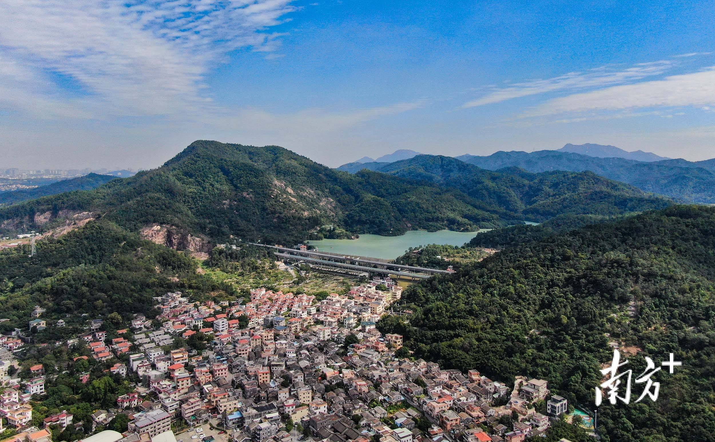 走进美丽乡村美景美食亮点纷呈中山乡村振兴进行时