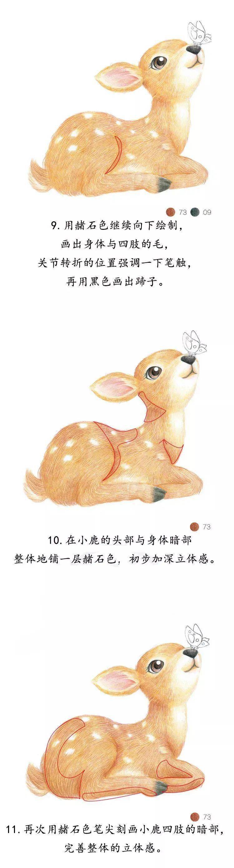 彩铅画入门教程 | 彩铅笔画一只可爱的小鹿