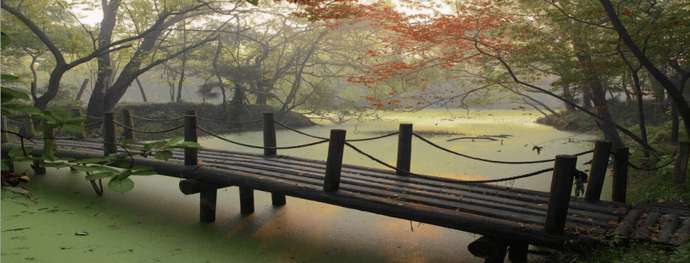 园林桥景此岸到彼岸的艺术鉴赏之旅