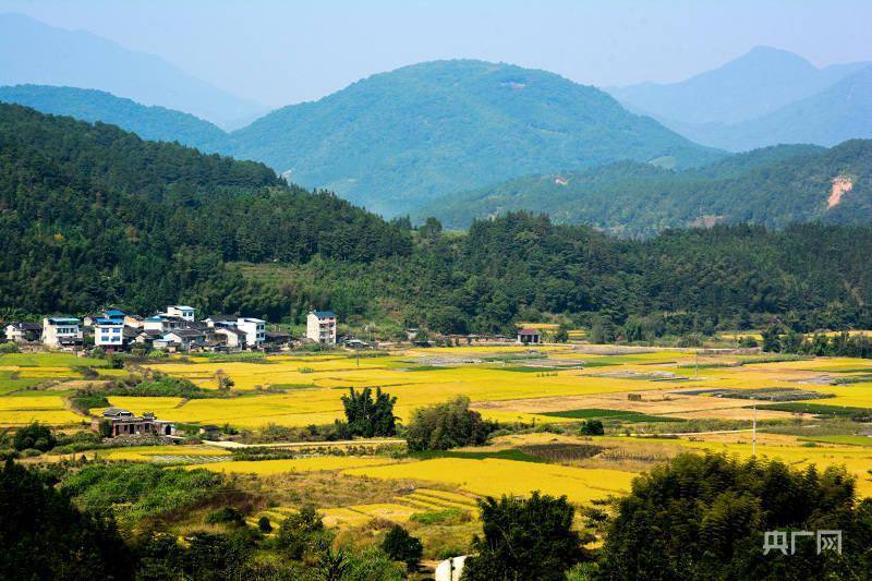 8 在南平市顺昌县元坑