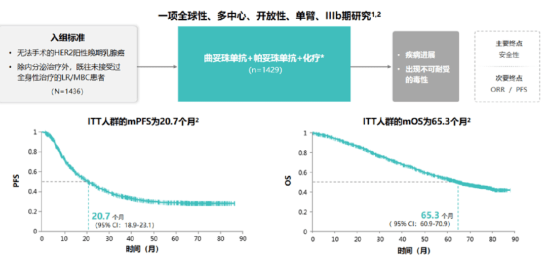 它与曲妥珠单抗联合可作用于不同的erbb2结构域,抑制异源二聚体形成