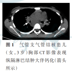 1例未见明显异常,其余9例均提示异常,6例有肺部感染,2例有支气管扩张