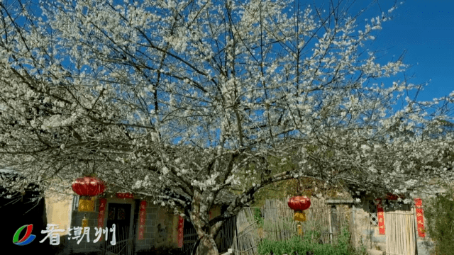 东明村_村民_东山镇