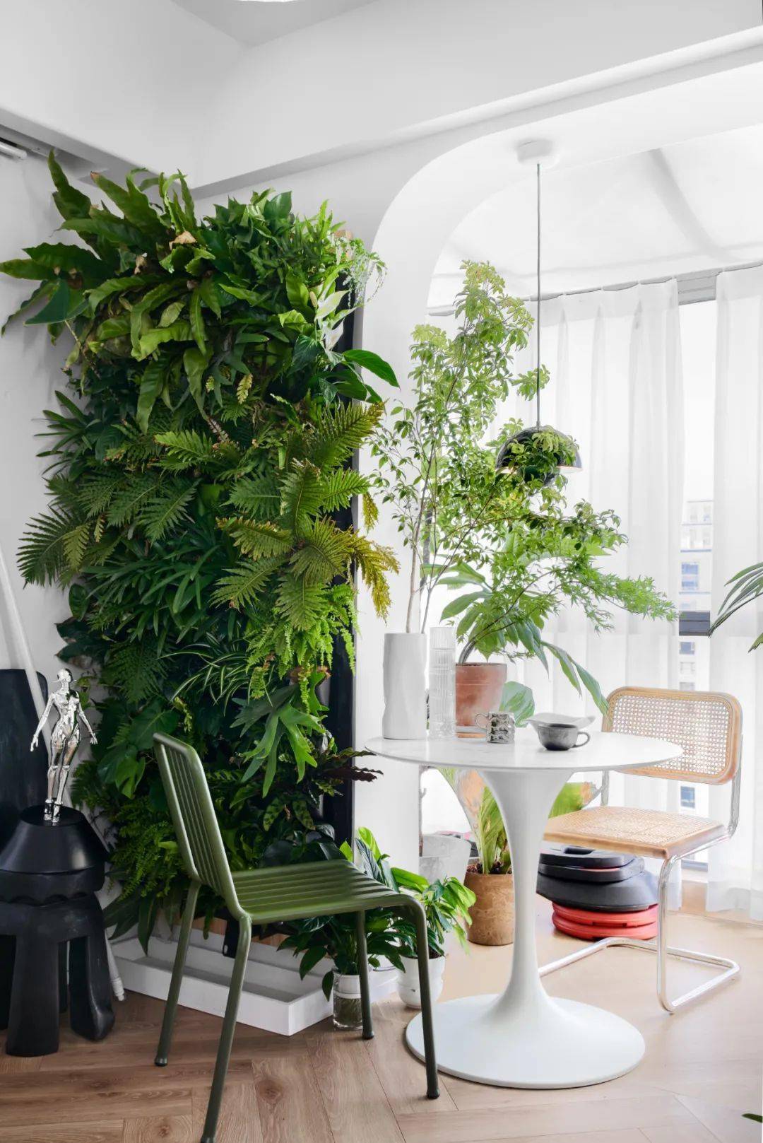 蕨类植物耐阴好养护非常适合在室内造景使用