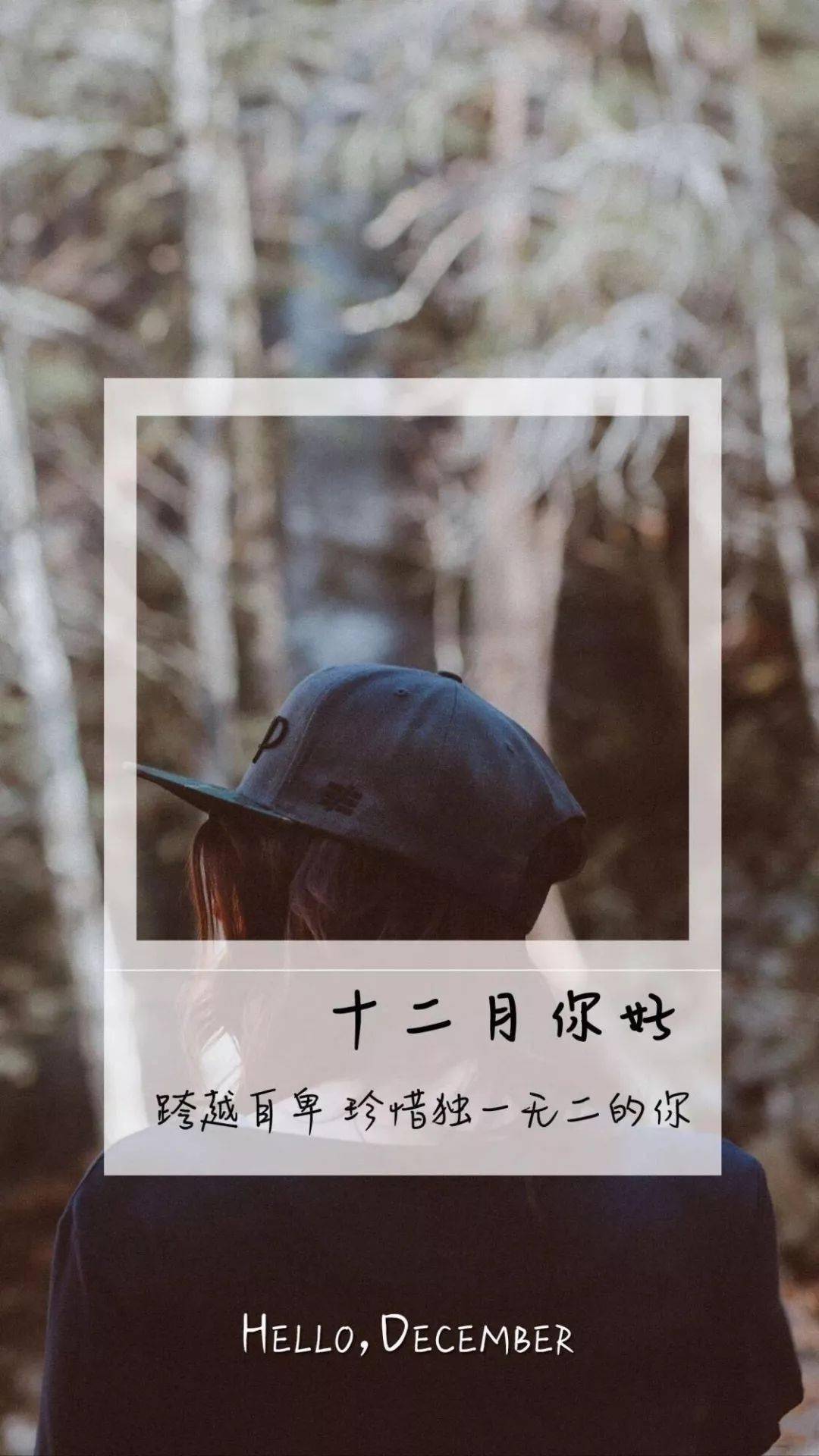 发朋友圈11月再见12月你好说说句子