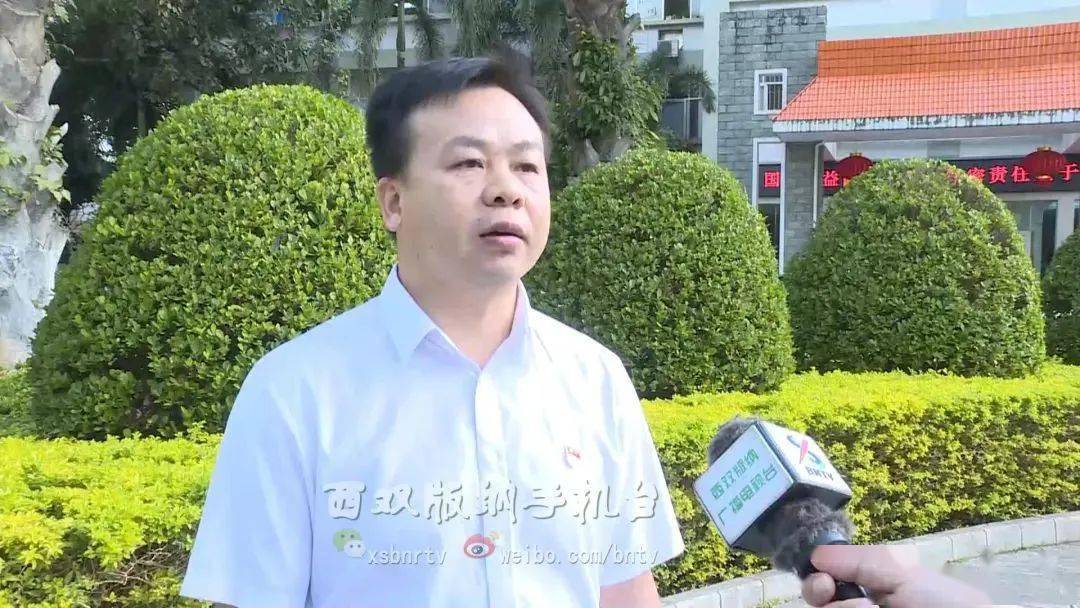 作为乡镇党委书记,我将学深悟透会议精神,切实扛起党员干部的责任担当