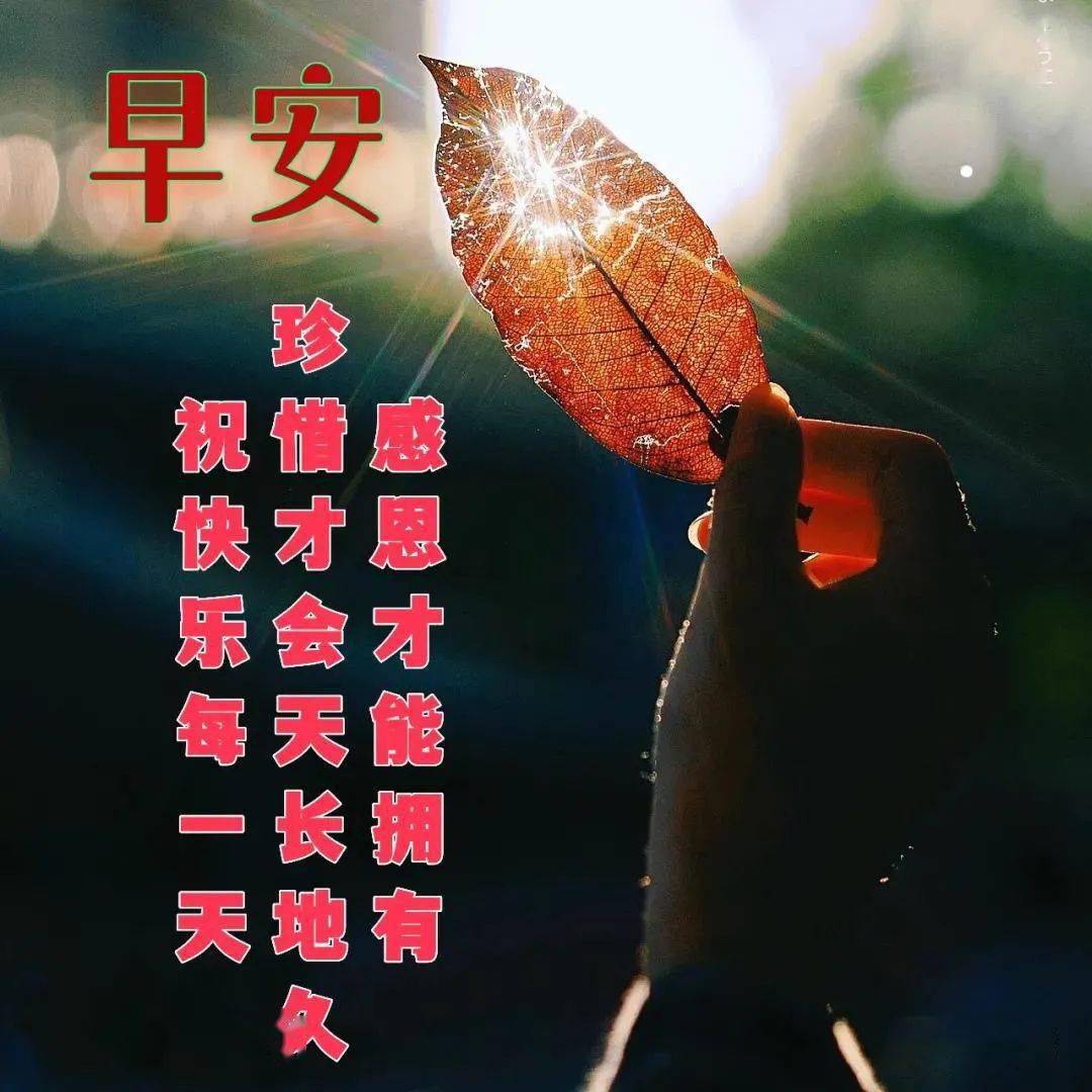 月3日早上好冬季祝福语表情动图朋友圈早上好温馨问候语表情图片大全