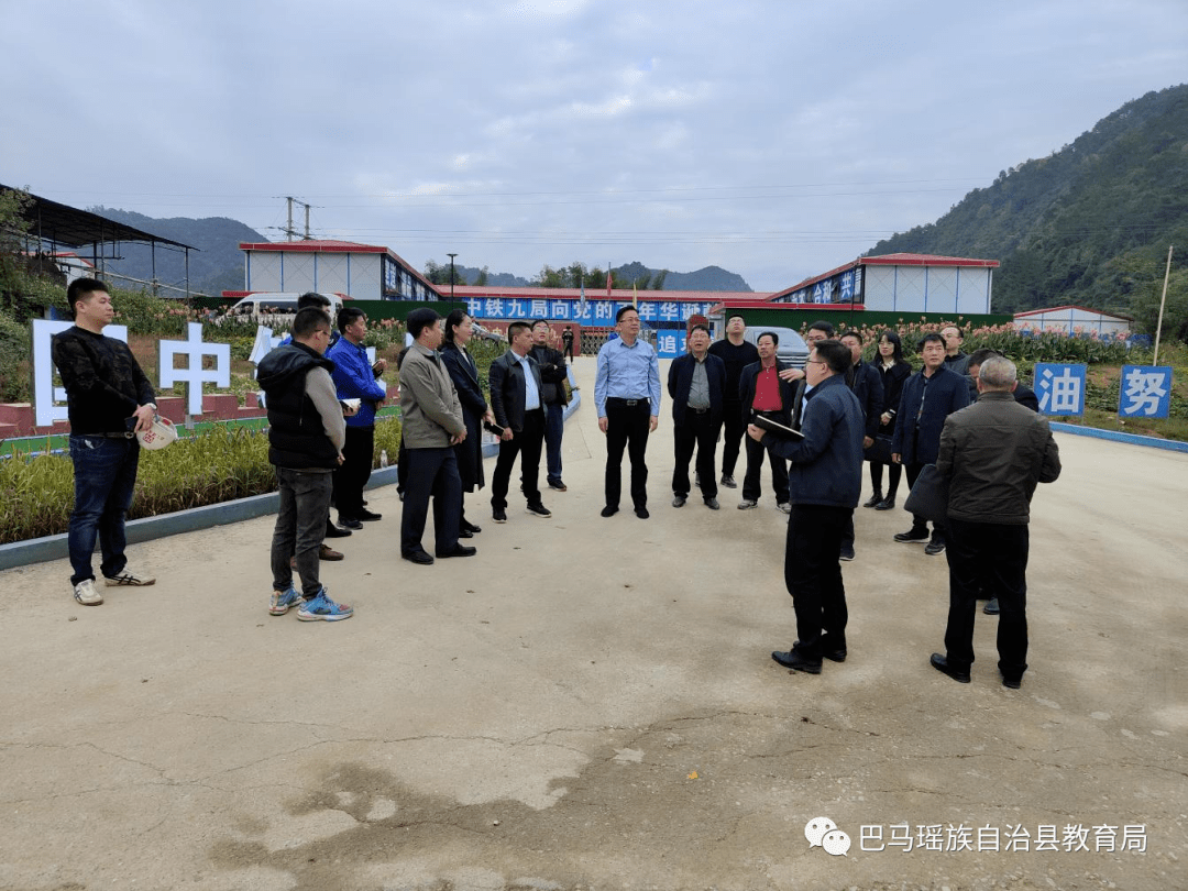 巴马县委书记黄炳峰督导"重大项目星期五推进日"工作(五)建立项目代办