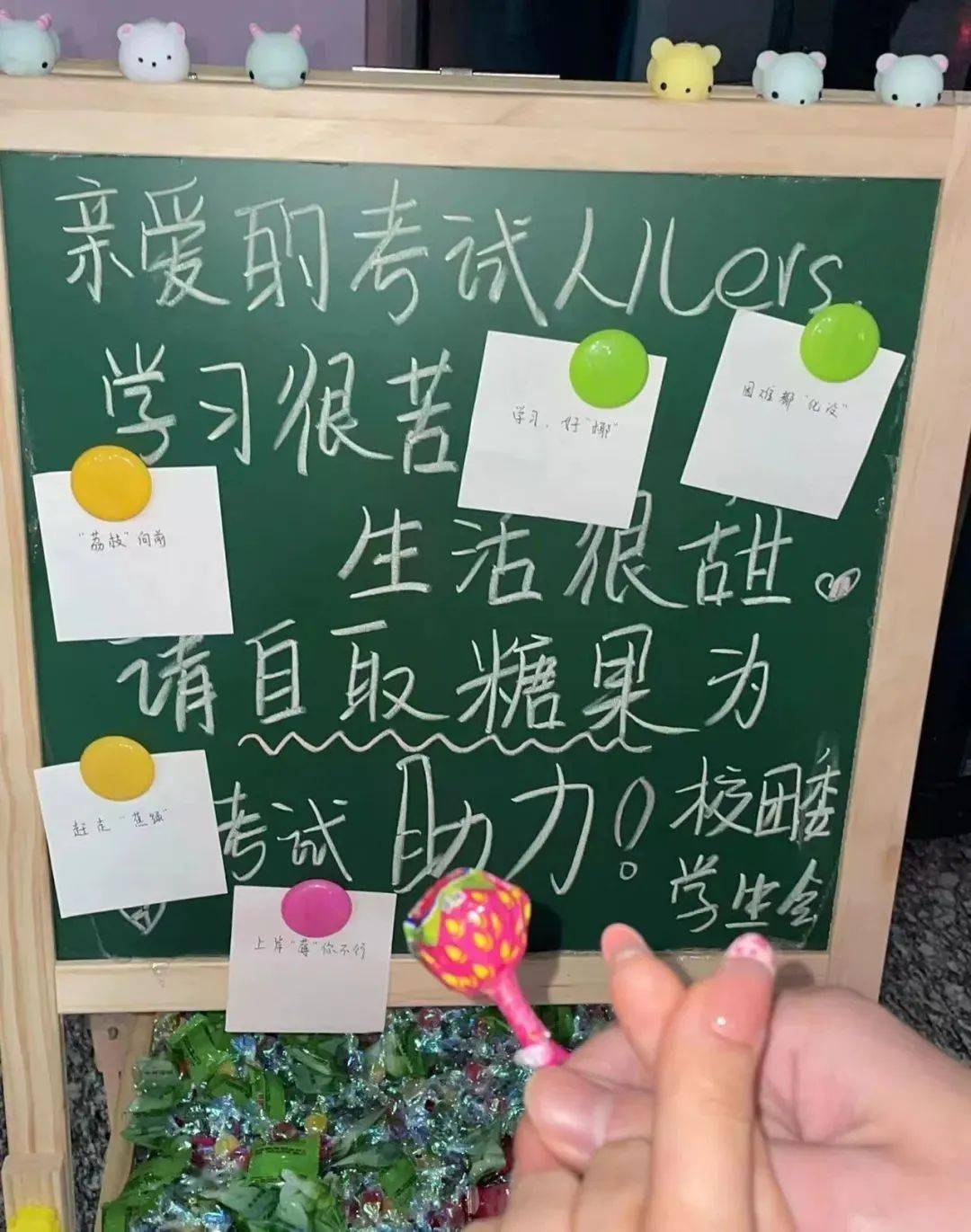 我为同学做件事 | 中国劳动关系学院学生会:凌冽寒冬