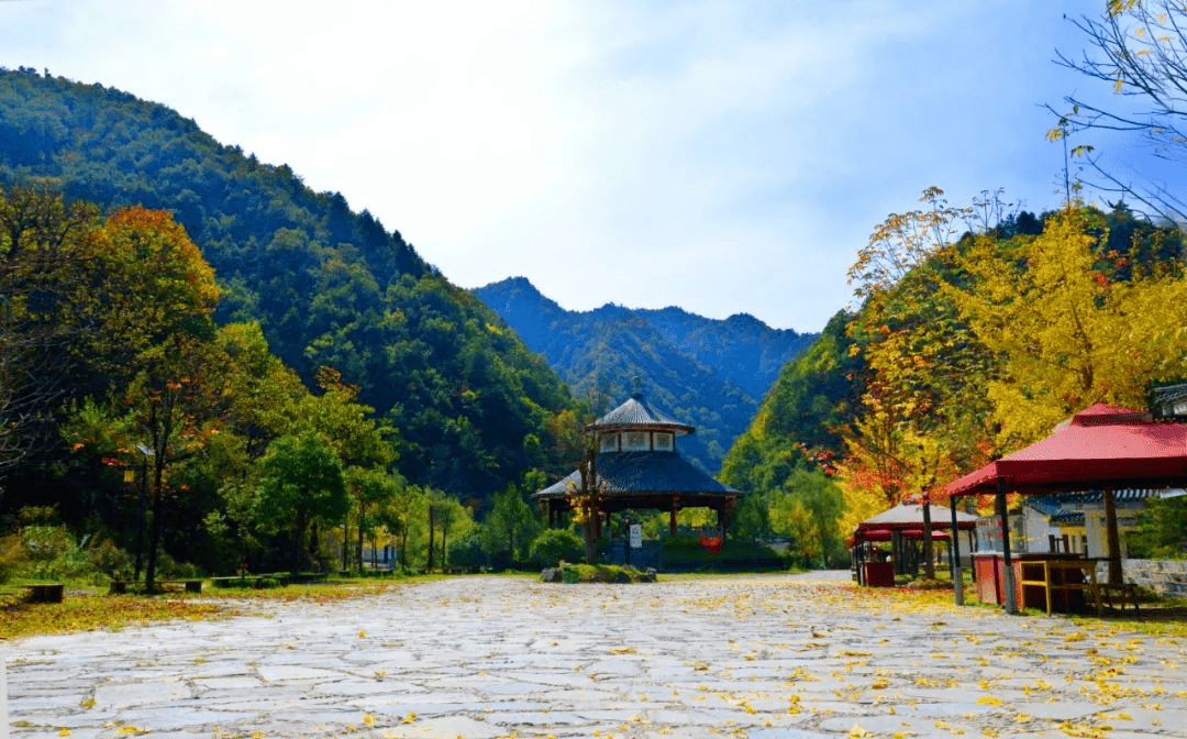 金丝峡景区和秦岭江山景区获批第一批陕西省森林康养基地(试点)