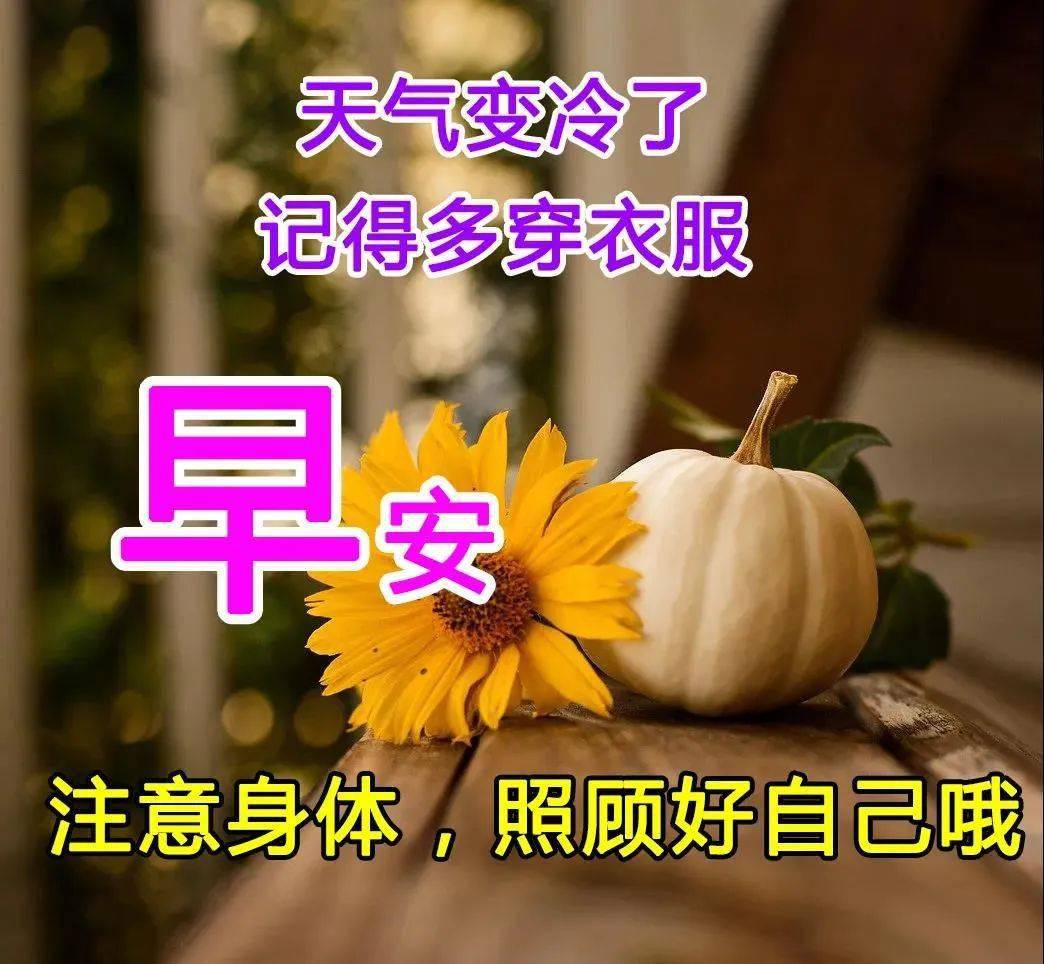 唯美的早安祝福语图片带字漂亮好看的鲜花早上好问候语表情图片