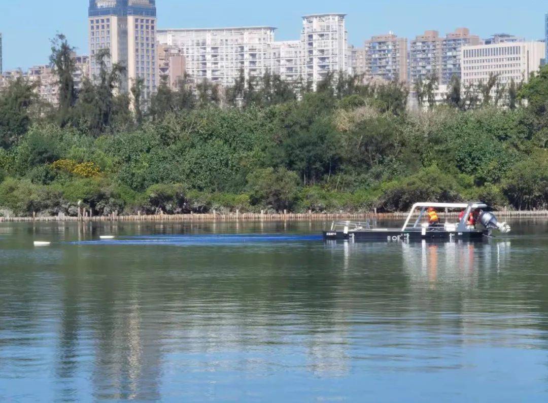 专吃筼筜湖垃圾!_保护_水面_作业